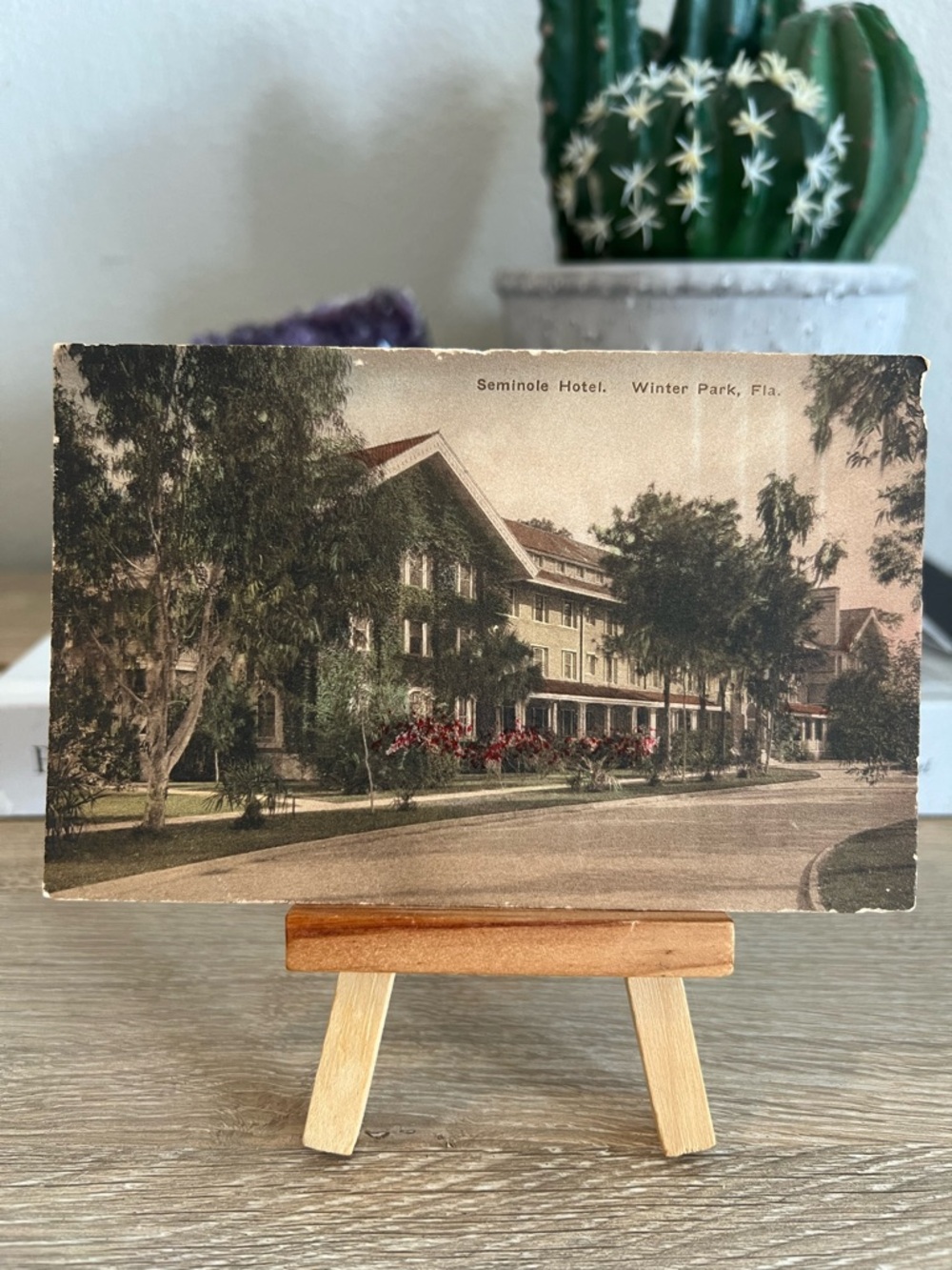 Antique Seminole Hotel Winter Park Florida Hand Colored Albertype Postcard